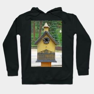 Glen Haven Bird Houses Study 13 Hoodie